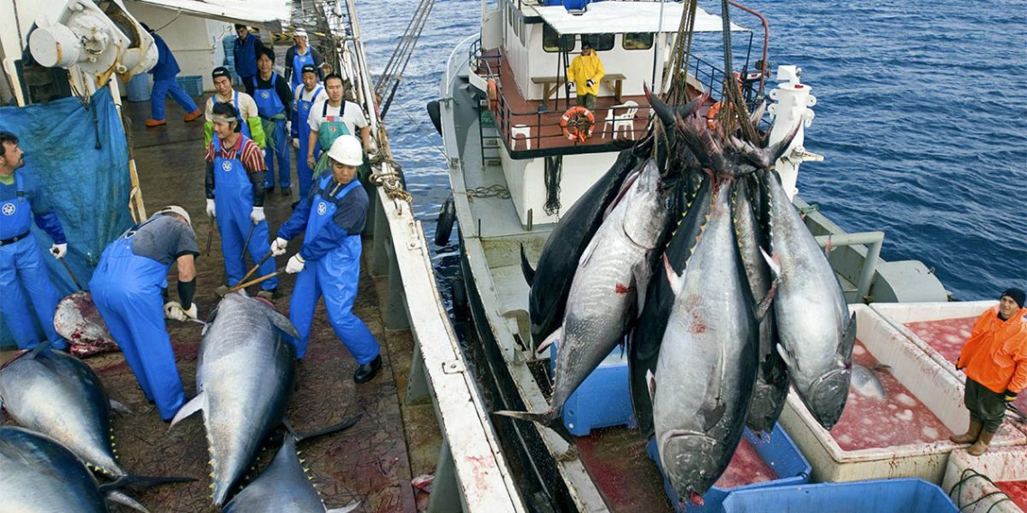 В правительстве Японии возмутились отказом России согласовывать промысел рыбы около Курил