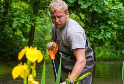 В московских прудах высадят 97 тысяч растений для самоочищения воды