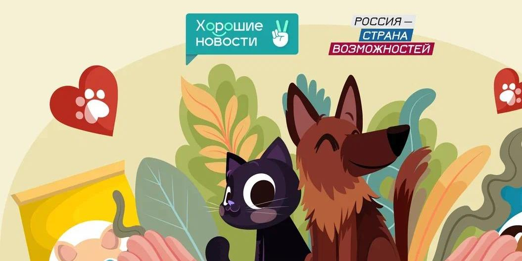 Приложение "Хорошие новости" запустило акцию помощи животным