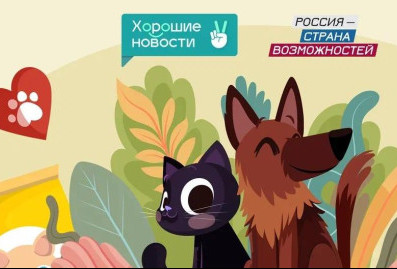Приложение "Хорошие новости" запустило акцию помощи животным