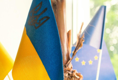 ЕС начал придумывать альтернативы вступлению Украины