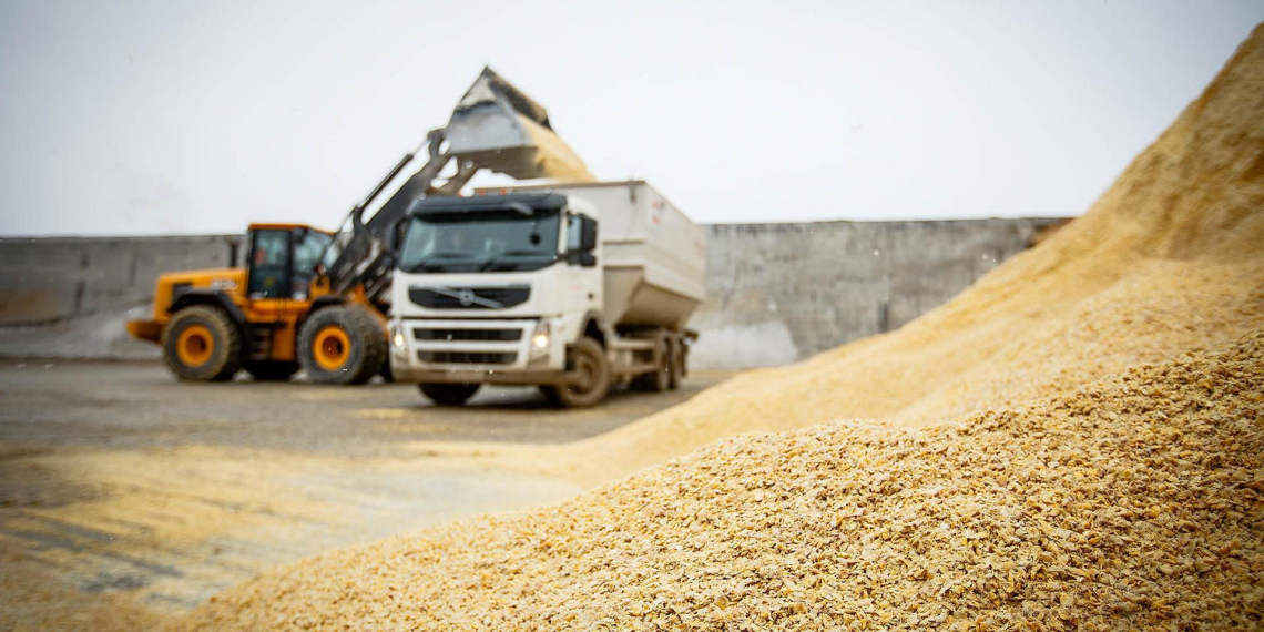 В Европарламенте назвали зерно из Украины угрозой для сельского хозяйства ЕС