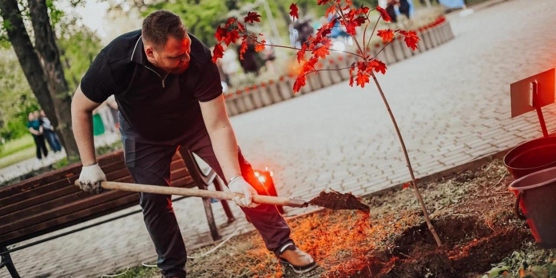 Красные клёны памяти: в Донецке начали высаживать деревья в местах гибели мирных жителей 