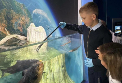 Владимир Путин исполнил мечту семилетнего участника "Ёлки желаний"