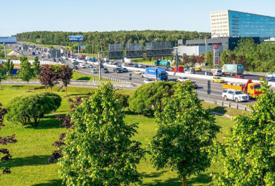 После реконструкции московских школ на их территориях высадят 1,4 тысячи деревьев