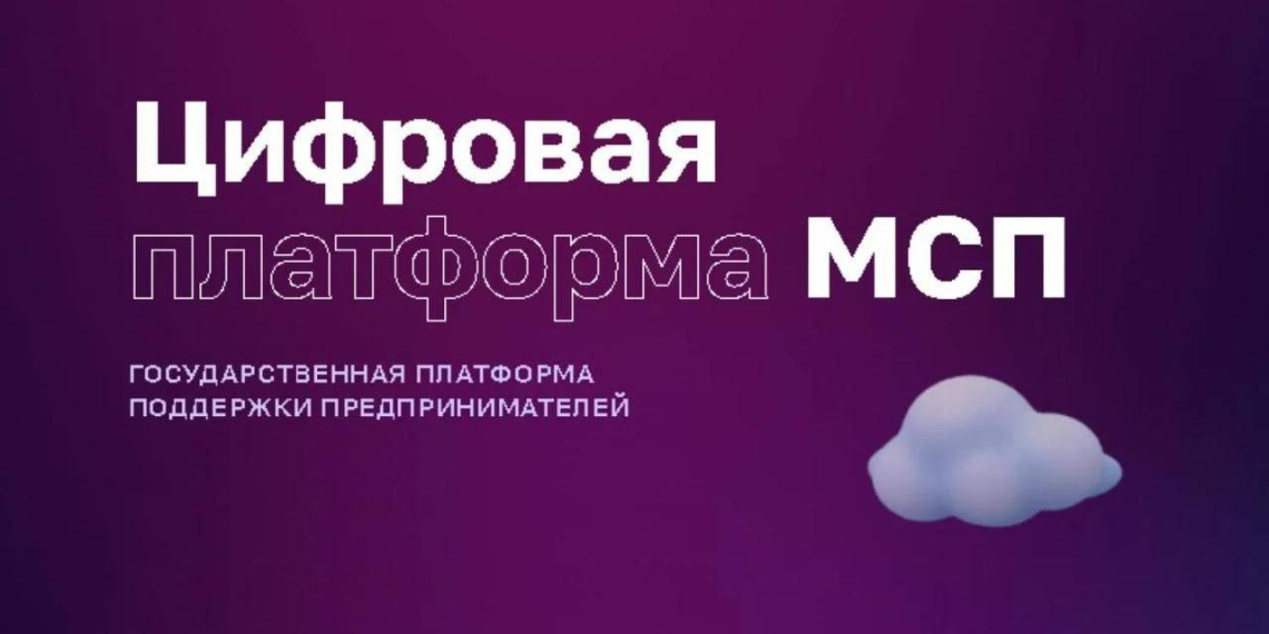 Предприниматели из ДНР и ЛНР воспользовались платформой МСП.РФ более 38 тысяч раз