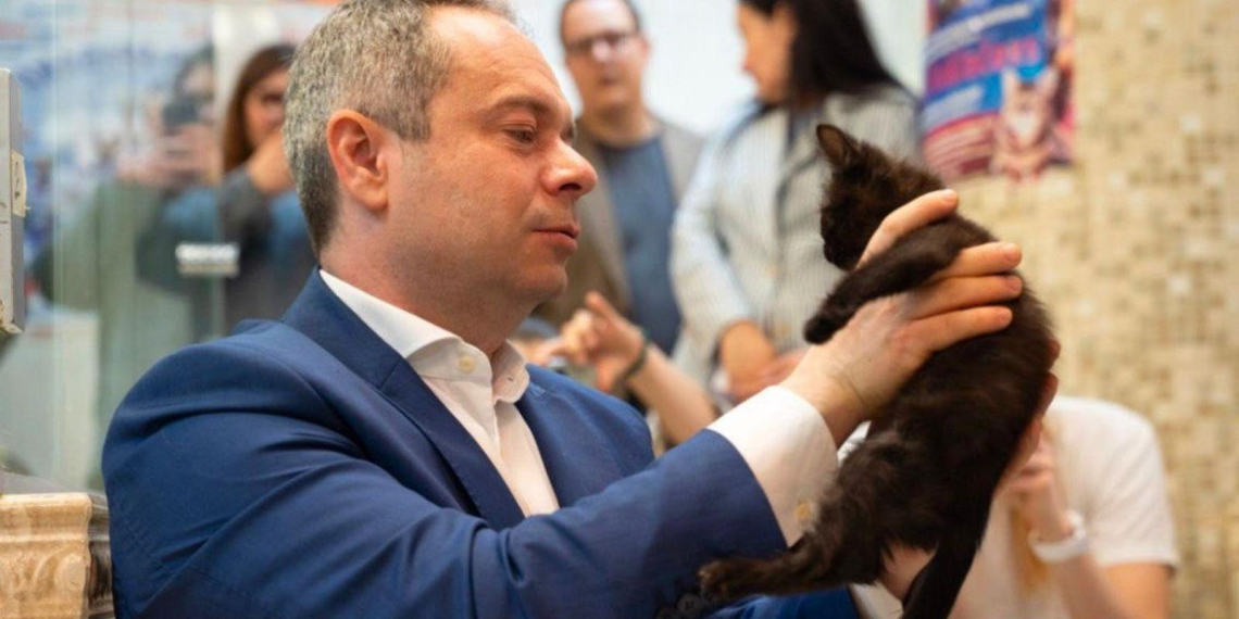 В театр кошек Куклачёва приняли трёх котов из зоны СВО