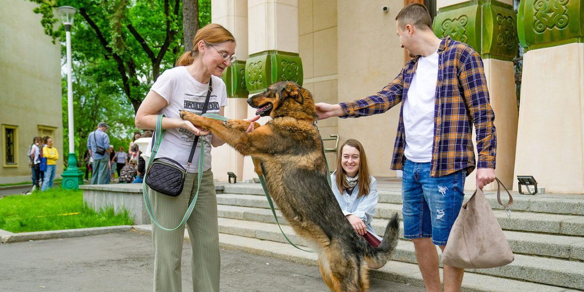 Фестиваль "Моспитомца" на ВДНХ познакомит горожан с животными из приютов
