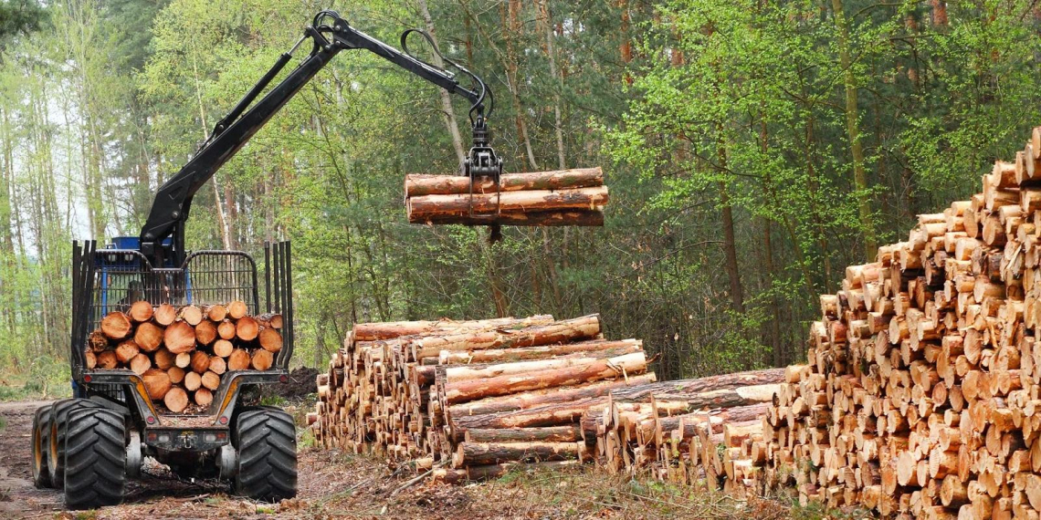 Финляндия отказом от российского леса вынудила себя рубить свой