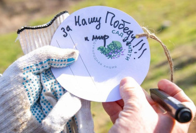 "Сад памяти" объединил пять континентов: международная акция в честь героев войны стартовала в 20 странах