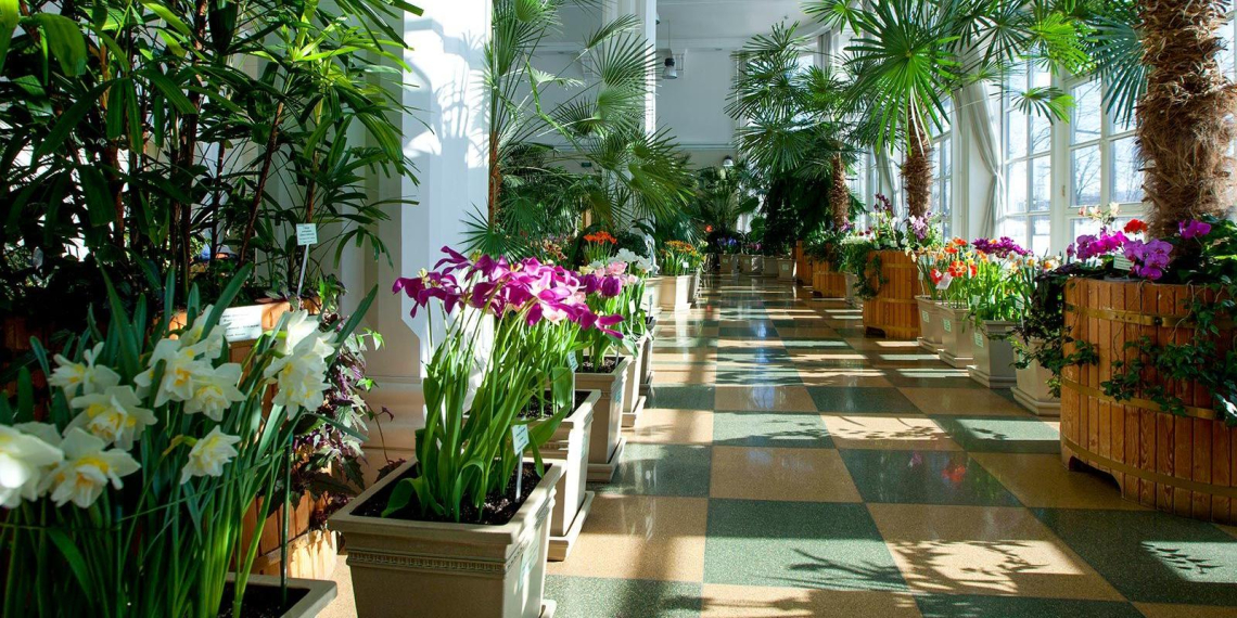 В сервисе "Мосбилет" собрали самые цветущие экскурсии марта в Москве