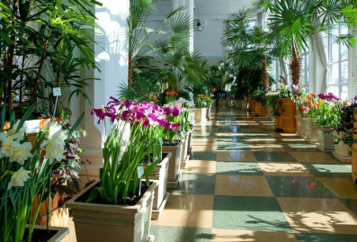 В сервисе "Мосбилет" собрали самые цветущие экскурсии марта в Москве