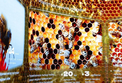 Гостей проекта "Биокластер" ждут на дегустацию мёда в павильоне №28 на ВДНХ