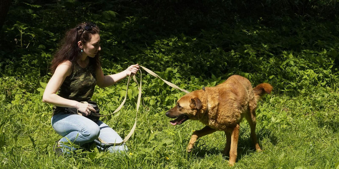 В День домашних животных рассказали, как звери из приютов в Москве находят дом