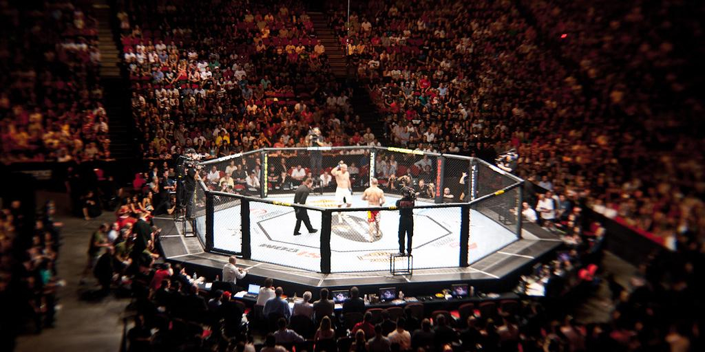 Глава РФПИ Дмитриев анонсировал возвращение турниров UFC в Россию в этом году