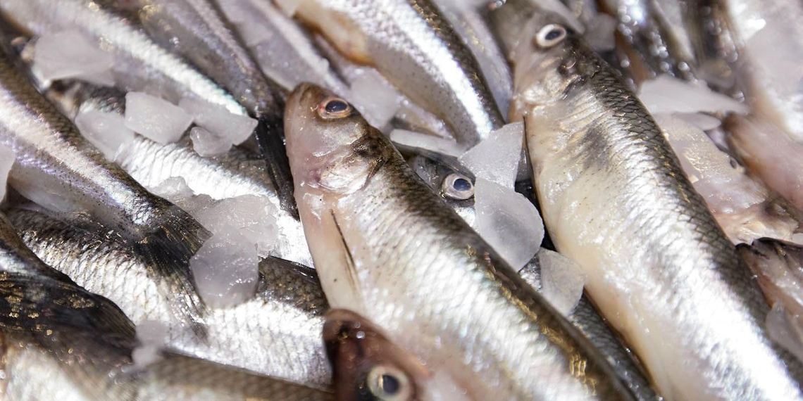 На рыбных рынках "Москва – на волне" начался сезон корюшки