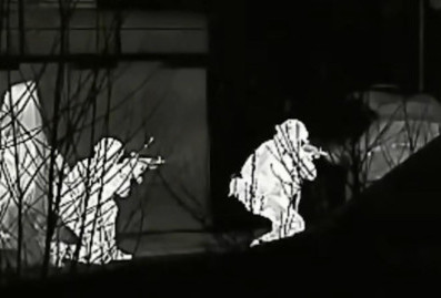 ФСБ пресекла попытку теракта на железной дороге в Алтайском крае