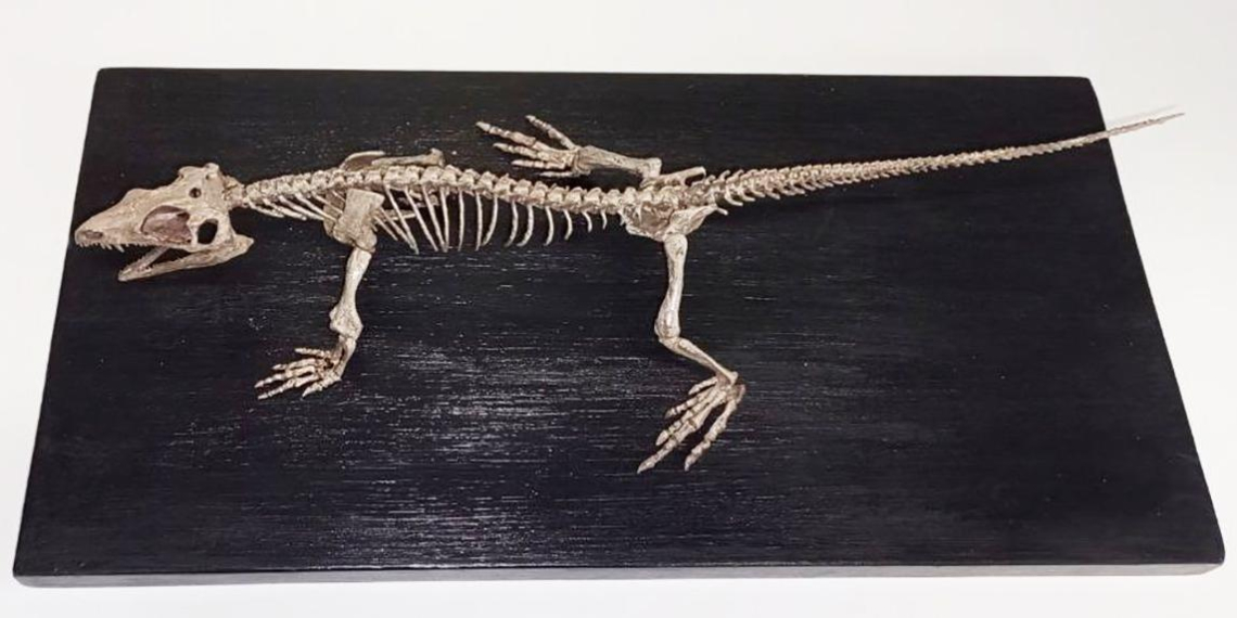 Музейный фонд Москвы за год пополнился 55 тысячами экспонатов