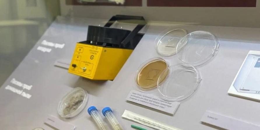 На выставке в биокластере Москвы можно увидеть живые культуры микроорганизмов