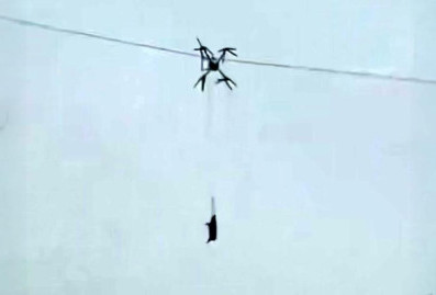 Жители китайской деревни освоили перевозку свиней дронами и остались без электричества