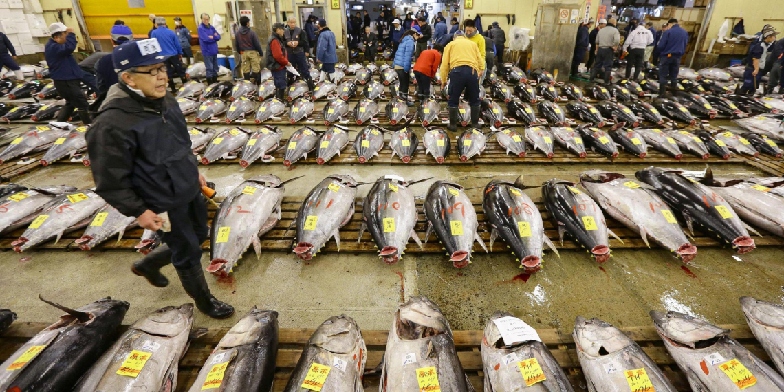 Япония ввела против России санкции и требует переговоров по рыболовству вокруг Курил